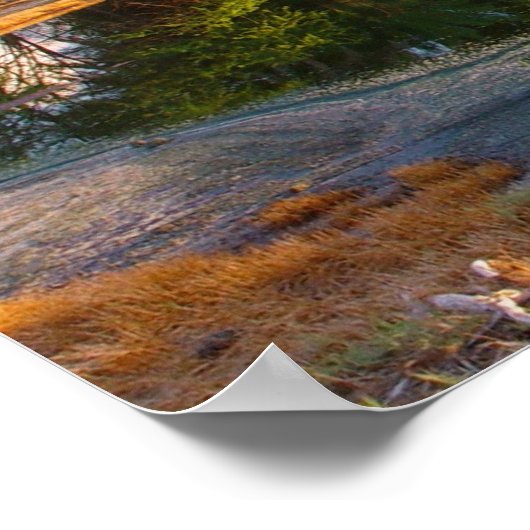 紀元前100万年 ポスター (角)