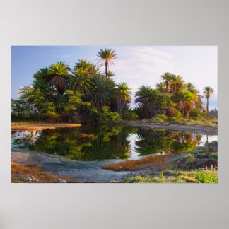 紀元前100万年 ポスター