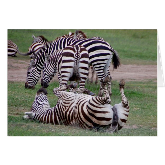 約ふざけること (正面横)