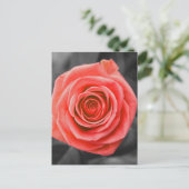 約束は上がりました ポストカード (スタンド正面)