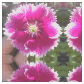 約束 ファブリック (クローズアップ)