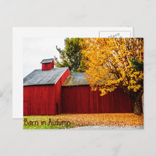 紅い納屋の秋のポストカード ポストカード (正面/裏面)