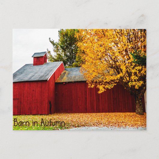 紅い納屋の秋のポストカード ポストカード (正面)