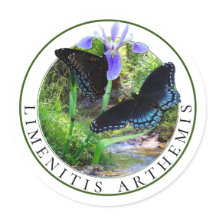 紅斑紫の蝶と青い旗の虹彩