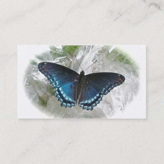 紅斑紫色の蝶の名刺 名刺 (裏面)