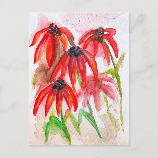 紅斑酢花（水色） シーズンポストカード (正面)