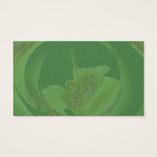 紅斑黄色のユリ (裏面)