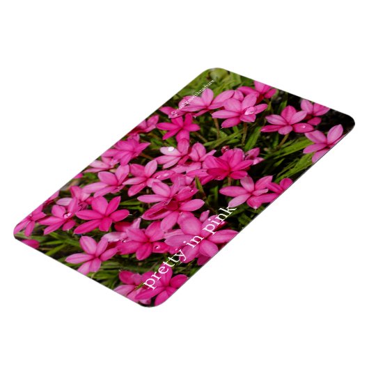 紅星 マグネット (左側)