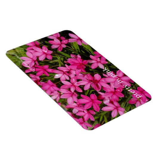 紅星 マグネット (右側)