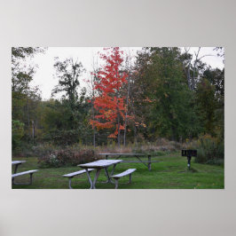 紅木（ベンチ付き） ポスター