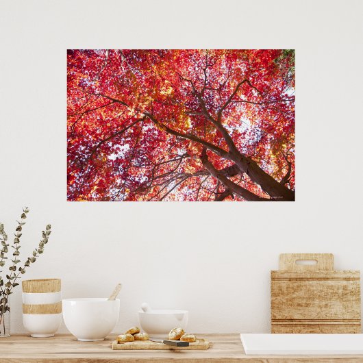 紅楓の木 ポスター (キッチン)
