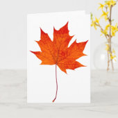 紅楓 カード (黄色い花)