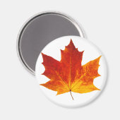紅楓 マグネット (正面/裏面)