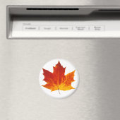 紅楓 マグネット (インサイチュ (食洗機))