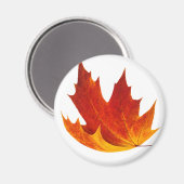 紅楓 マグネット (正面/裏面)