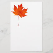 紅楓 便箋 (正面)