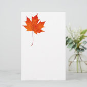 紅楓 便箋 (スタンド正面)