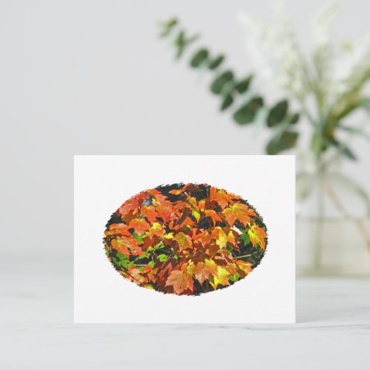 紅楓（秋） ポストカード (スタンド正面)