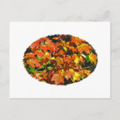 紅楓(秋) ポストカード (正面)