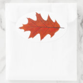 紅樫の葉 楕円形シール (バッグ)