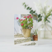 紅水色ゼラニウム ポストカード (スタンド正面)