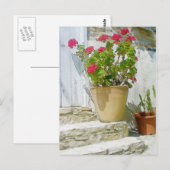 紅水色ゼラニウム ポストカード (正面/裏面)