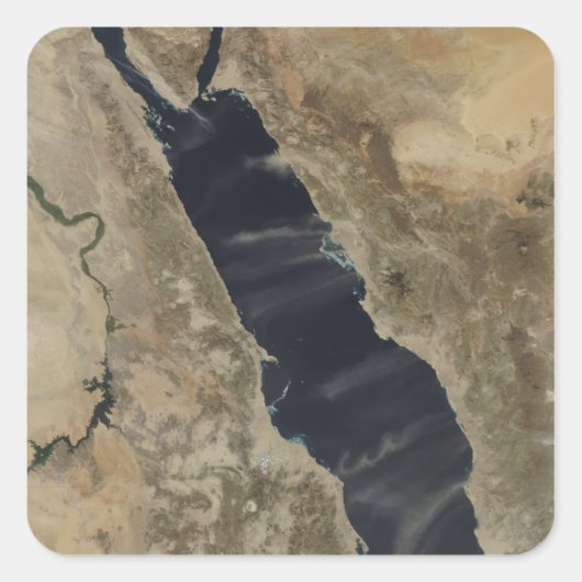 紅海に塵が立つ スクエアシール (正面)