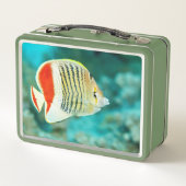 紅海に沈む魚の景勝地|過去記事 メタルランチボックス (裏面)