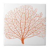 紅海の珊瑚礁 タイル (正面)