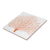 紅海の珊瑚礁 タイル (側面)