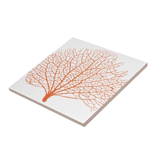 紅海の珊瑚礁 タイル (側面)