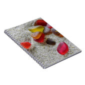 紅海ガラス – ノートブック (右側)