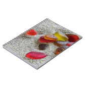 紅海ガラス – ノートブック (左側)