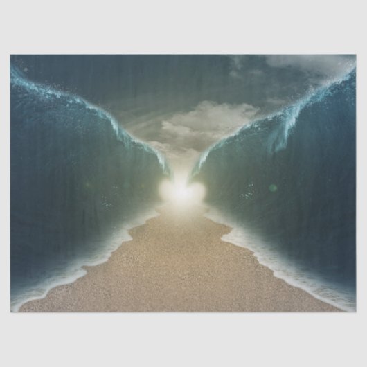 紅海ティッシュペーパー 薄葉紙 (正面)