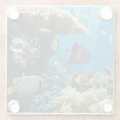 紅海、エジプトの珊瑚そして魚 ガラスコースター (裏面)