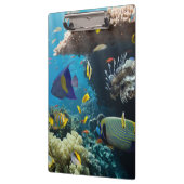 紅海、エジプトの珊瑚そして魚 クリップボード (左)