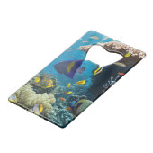 紅海、エジプトの珊瑚そして魚 クレジットカード栓抜き (正面アングル)
