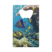 紅海、エジプトの珊瑚そして魚 クレジットカード栓抜き (裏面)