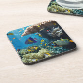 紅海、エジプトの珊瑚そして魚 コースター (左側)