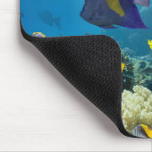 紅海、エジプトの珊瑚そして魚 マウスパッド (コーナー)