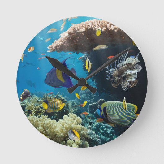 紅海、エジプトの珊瑚そして魚 ラウンド壁時計 (正面)