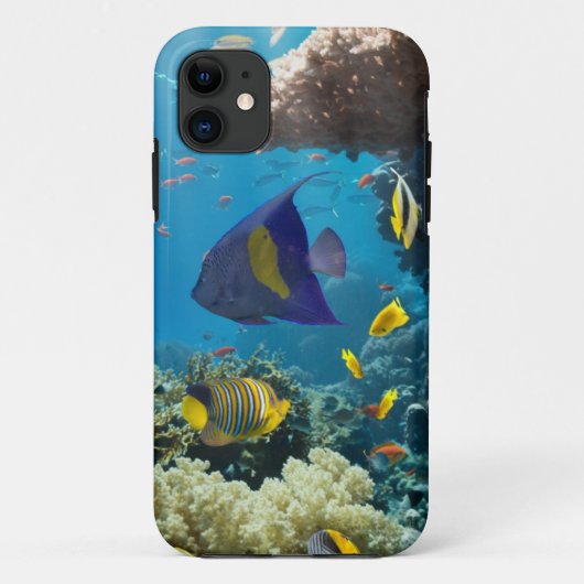 紅海、エジプトの珊瑚そして魚 Case-Mate iPhoneケース (裏面)
