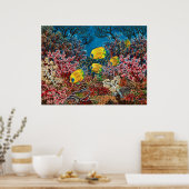 紅海 ポスター (キッチン)