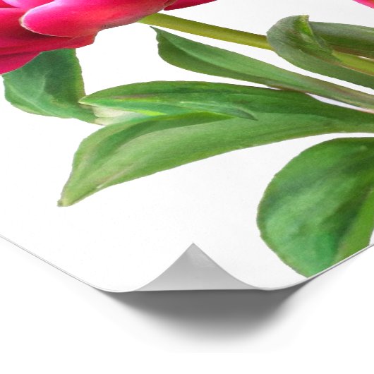 紅牡丹フラワーアートプリントポスター ポスター (角)