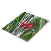 紅生姜 タイル (側面)