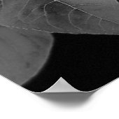 紅白の美しいひまわりのポスター ポスター (角)