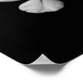 紅白の花が咲き乱れる ポスター (角)