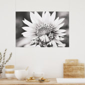 紅白ひまわりとミツバチ ポスター (キッチン)