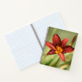 紅白花ノート ノートブック (内部)