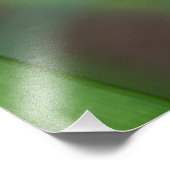 紅百合花 フォトプリント            (角)